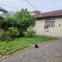 زمین برای مشارکت|مشارکت در ساخت املاک|لاهیجان, لیالستان|دیوار