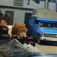 اتو بار تیموری