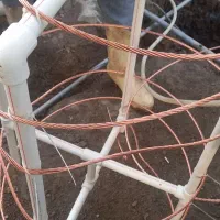 برقکارصنعتی و ساختمان