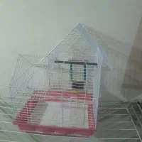 قفس عروس هلندی|لوازم جانبی حیوانات|تهران, مولوی|دیوار