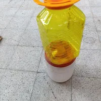 سطل 10کیلویی خرما