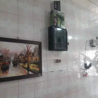 دکورایشگاه|آرایشگاه و سالن‌های زیبایی|مشهد, شهید معقول|دیوار