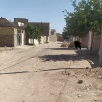 زمین فروشی در امام رضا ۶۷  ۶۷/۱۲ و جانبازان ۳۰|فروش زمین و ملک کلنگی|تربتحیدریه, سرمحله|دیوار