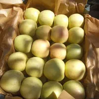 سیب‌درجه1|خوردنی و آشامیدنی|سیلوانه, |دیوار