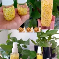 روغن خاویار حلزون