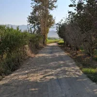 ۱۰۰۰ متر باغ در منطقه پیربکران نقدی یا معاوضه|فروش زمین و ملک کلنگی|اصفهان, شفق|دیوار