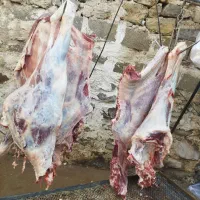 گوشت مراسمات با تخفیف ویژه فروشی