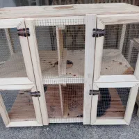 ساخت انواع قفس پرنده مرغ کبوتر ...|لوازم جانبی حیوانات|شاهین‌شهر, شهرک گلدیس|دیوار