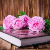تدریس خصوصی وتضمینی درس عربی|خدمات آموزشی|شیراز, شهرک گلستان|دیوار