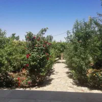 فروش یا رهن ویلا شیک و لاکچری در روستای سرسبز میم|اجارهٔ خانه و ویلا|قم, شهرک قدس|دیوار