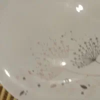 سرویس پذیرایی|ظروف سرو و پذیرایی|فشاپویه, |دیوار