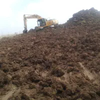 اجاره بیل مکانیکی