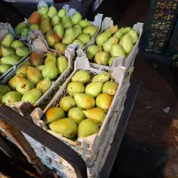 استخدام نیرو انباردار