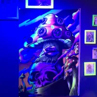 بک دراپ بلک لایت