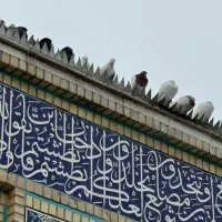 قطعه طلا پیدا شده