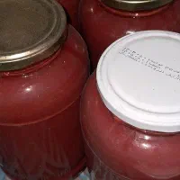 شوری و رب گوجه شاندیز|خوردنی و آشامیدنی|مشهد, فلسطین|دیوار