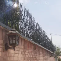 حفاظ شاخ گوزنی|خدمات پیشه و مهارت|اردبیل, |دیوار