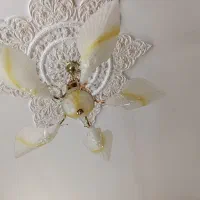 لوستر پنج پر
