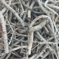 فروش چوب پسته