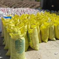 فضولات کود سوله ها کبوتر صحرایی