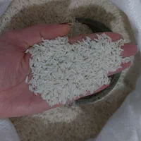 برنج|خوردنی و آشامیدنی|صومعه‌سرا, |دیوار