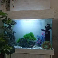 آکوارویم در حد نو سالم با تمام وسایلش با پمپ