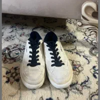 کفش|کیف، کفش، کمربند|گنبد کاووس, |دیوار