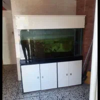 آکواریوم بزرگ