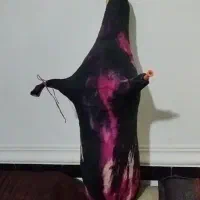 پوست نی انبان|سازهای بادی|بندر گناوه, |دیوار