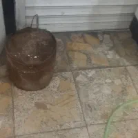 ماستیک ۵۰عددفروش