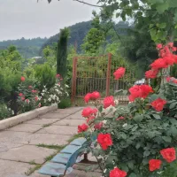 ویلا باغ جنگلی کوهستانی بالکن دار|اجارهٔ کوتاه‌مدت ویلا و باغ|لاهیجان, آهندان|دیوار