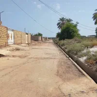 زمین 250|فروش زمین و ملک کلنگی|حمیدیه, |دیوار