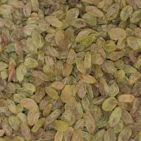 کشمش سبز قلمی کاشمر عمده