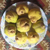 به محلی