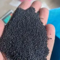 فروش خرفه یا قلفه با بهترین قیمت