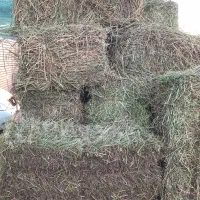 یونجه خشک درجه یک پرس شده