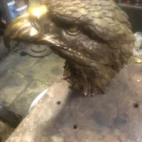 عقاب
