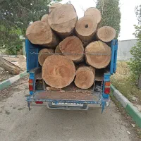 خریدار چوب هرس درخت|خدمات باغبانی و درختکاری|تهران, استاد معین|دیوار