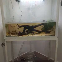 آکواریوم با پایه و تجهیزات|لوازم جانبی حیوانات|یزد, |دیوار