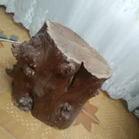 تنه درخت جنگلی سنگین