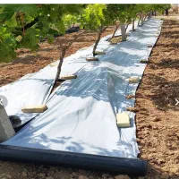 زیر درختی ( مالچ) مخصوص کشتو کارو باغبانی|خدمات باغبانی و درختکاری|پاسارگاد, |دیوار