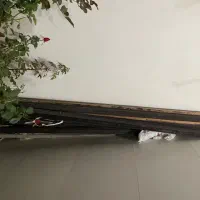 یک عدد دار شیش متری