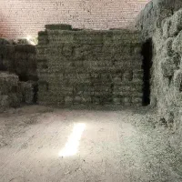 خریدار یونجه پرس انباری و خشک