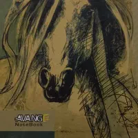 چندتا کتاب درسی ویک کتاب آموزش رانندگی