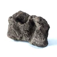 سنگ آکواریوم