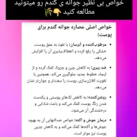 کرم اصل و دست ساز عصاره ی جوانه ی گندم|آرایشی، بهداشتی، درمانی|پاکدشت, حصار امیر|دیوار