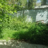 علوفه رایگان