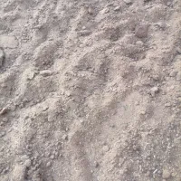 کود گوسفند