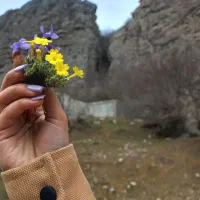 دوربین عکاسی کلکسیونی