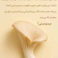 ماش فیت  پروتئین|خوردنی و آشامیدنی|سنندج, |دیوار